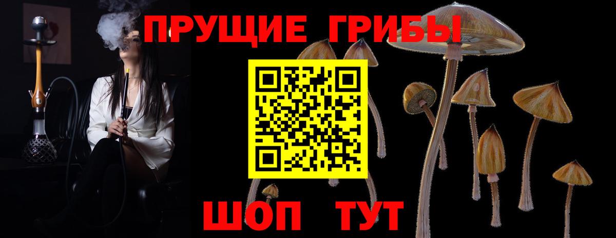 Псилоцибиновые грибы прущие грибы Омск